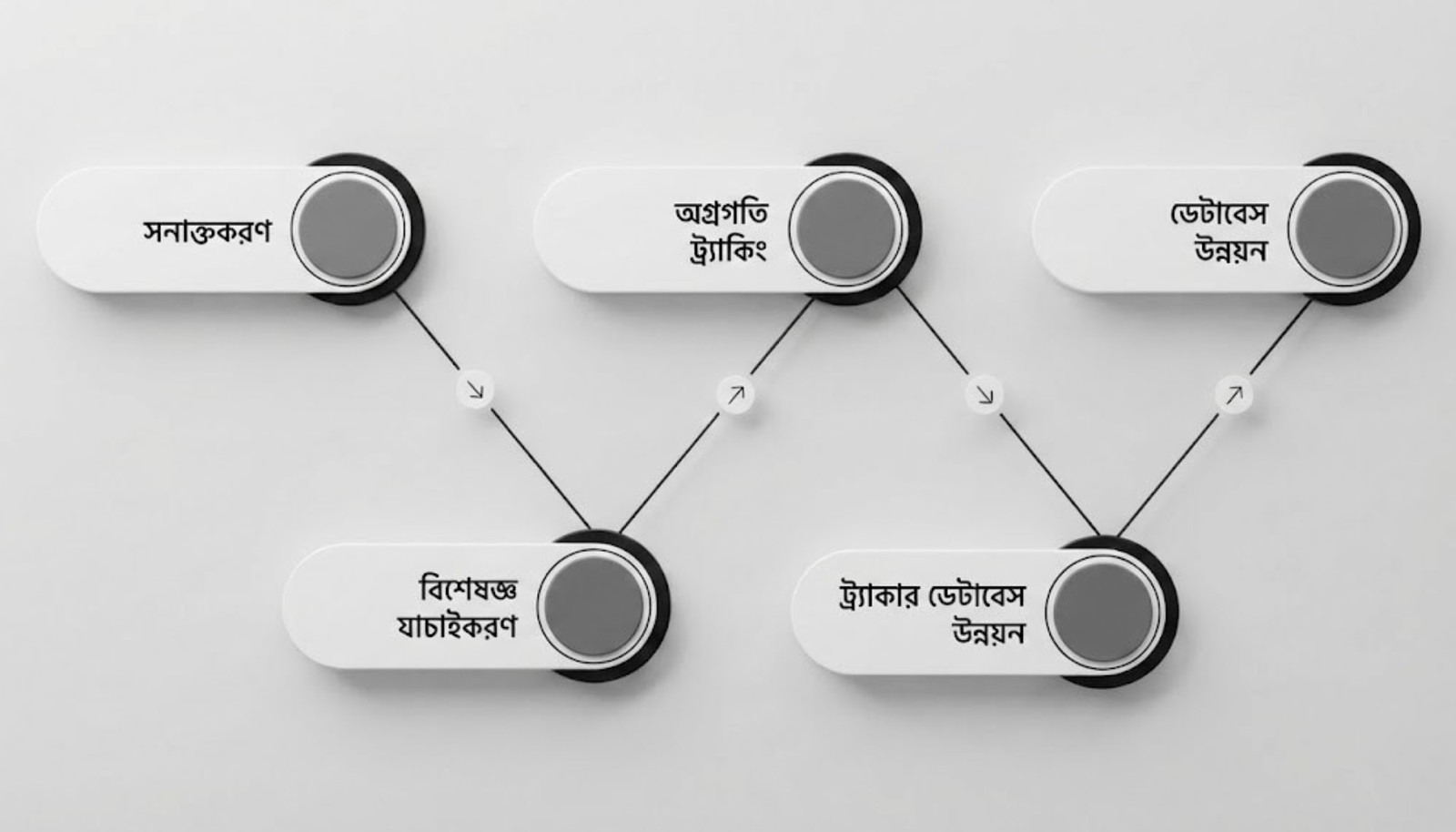 আমরা এটি কিভাবে করেছি?